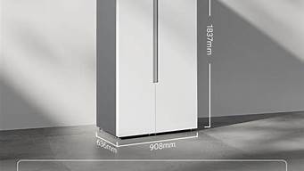 r600家用电冰箱压缩机工作压力_冰箱压