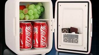 便携式冰箱可以带上飞机_便携式冰箱可以带