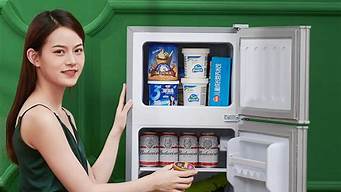 小冰箱品牌排行榜前十名_小冰箱品牌排行榜