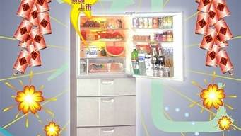 海乐冰箱215df_海乐冰箱调温度