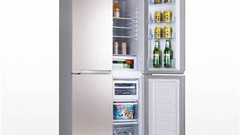 韩电冰箱 对开门_韩电冰箱对开门价格