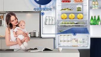 容声冰箱和海尔冰箱哪个质量好_容声冰箱和