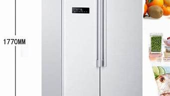 海尔双开门冰箱尺寸大全及价格_海尔双开门冰箱尺寸大全及价格图片