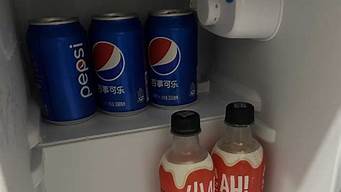 小鸭冰箱是什么品牌_小鸭冰箱是什么品牌的