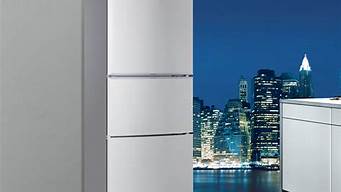 西门子电冰箱售后维修部地址_西门子电冰箱售后维修部地址查询