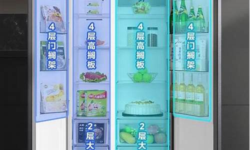 国内冰箱什么品牌最好_国内冰箱的品牌