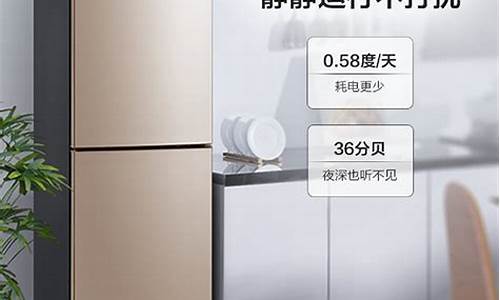 家电电冰箱价格_电冰箱 价格